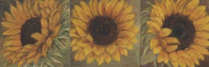 sunflowerheads