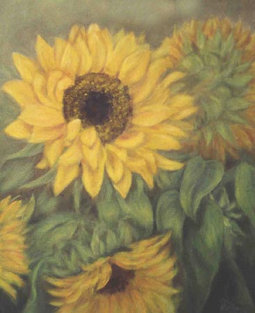 sunflower1